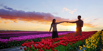 4 Days 3 Nights Srinagar to Pahalgam Park Tour Package