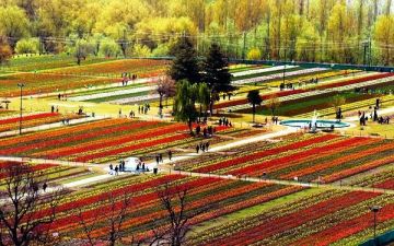 4 Days 3 Nights Srinagar to Pahalgam Park Tour Package