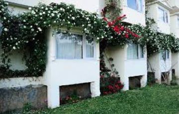 Memorable 4 Days 3 Nights Shimla Offbeat Trip Package