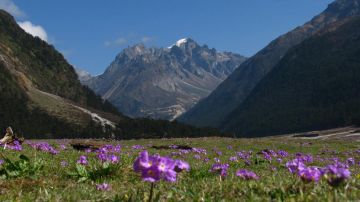 6 Days 5 Nights Bagdogra to Lachung Adventure Tour Package