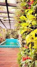 Memorable 5 Days Delhi to Shimla Hill Stations Holiday Package