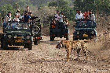 5 Days 4 Nights Pachmarhi with Bhopal Historical Places Trip Package
