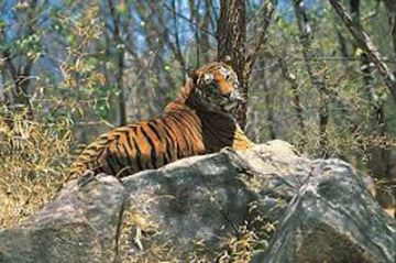5 Days 4 Nights Pachmarhi with Bhopal Historical Places Trip Package