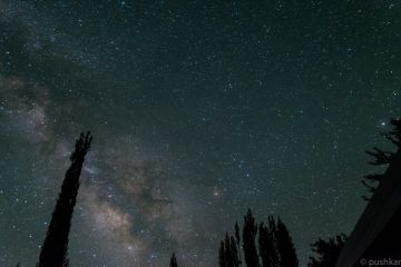 8 Days 7 Nights Leh to Pangong Offbeat Tour Package