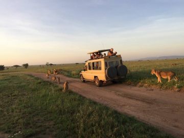 Heart-warming 3 Days 2 Nights Mikumi Luxury Vacation Package