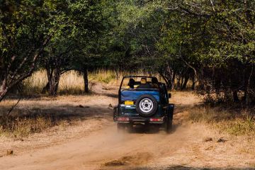 Memorable 2 Days Sawai Madhopur to Ranthambore Culture Holiday Package