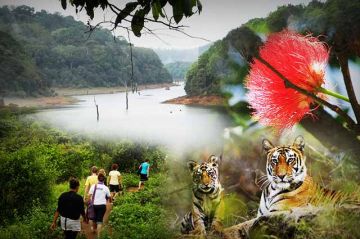 6 Days 5 Nights Kochi to Thekkady Resort Vacation Package