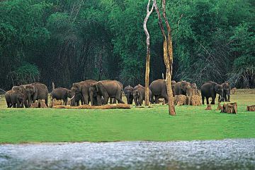 6 Days 5 Nights Kochi to Thekkady Resort Vacation Package
