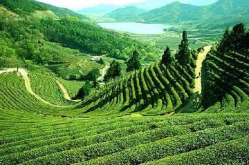 Magical 6 Days Siliguri to Darjeeling Romantic Holiday Package