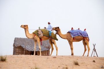 Heart-warming 5 Days New Delhi to Dubai Desert Holiday Package