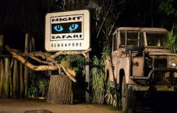 Heart-warming Singapore Tour Package from Delhi