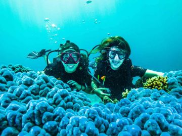 Experience 7 Days 6 Nights Bali with Gili T Honeymoon Trip Package