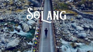 Memorable 4 Days Delhi to Manali Forest Vacation Package