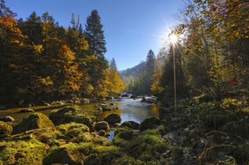 14 Days 13 Nights London, Paris, Lucerne and Zrich Mountain Trip Package