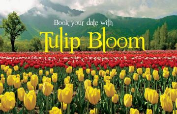 Pleasurable 4 Days 3 Nights SRINAGAR with GULMARG Vacation Package