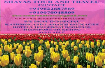 Memorable 3 Days 2 Nights SRINAGAR Park Holiday Package