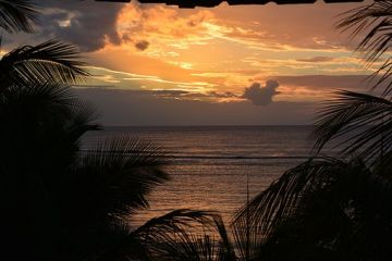 Heart-warming 7 Days Tamarin Nature Holiday Package