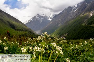 Family Getaway 6 Days Hemkund Tour Package