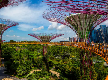 Family Getaway 7 Days Singapore Romantic Tour Package