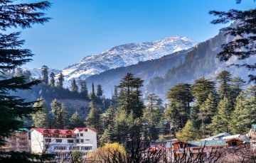 Magical 6 Days Delhi to Shimla Nature Trip Package