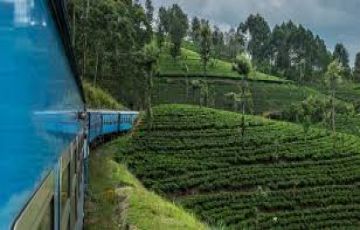 Best 6 Days 5 Nights Kandy Beach Holiday Package