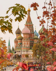 Pleasurable St Petersburg Tour Package for 7 Days 6 Nights