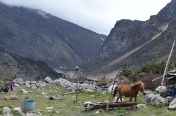 Pleasurable 3 Days Lachung Offbeat Trip Package