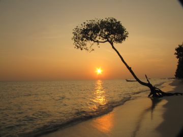 Ecstatic 5 Days 4 Nights Andaman And Nicobar Islands Water Activities Trip Package