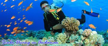 Best 5 Days Port Blair to Havelock Island Trip Package