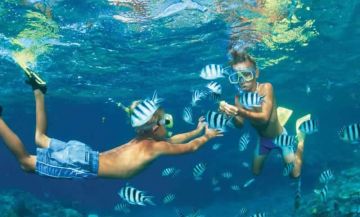 Magical 6 Days 5 Nights Neil Island Trip Package