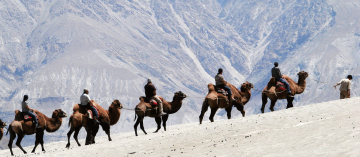 4 Days 3 Nights Manali Park Tour Package