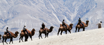 4 Days 3 Nights Manali Park Tour Package 4 Days 3 Nights Manali Park Tour Package