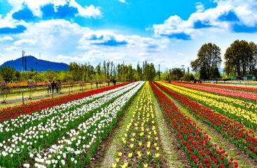 Heart-warming 5 Days 4 Nights Srinagar Family Tour Package