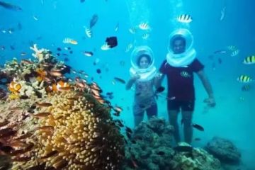 Best 5 Days 4 Nights Bangkok and Pattaya City Offbeat Holiday Package