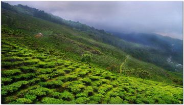 05 DAYS TINCHULEY LEPCHAGAT KALIMPONG OFFBEAT TOUR