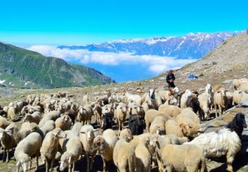 9 Days 8 Nights Chandigarh to Nakranda Friends Vacation Package