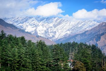 Experience Manali Forest Tour Package from Delhi