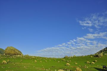 6 Days 5 Nights Gulmarg Family Tour Package