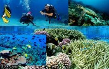 Beautiful 6 Days Port Blair-Havelock-Neil Island Hill Stations Vacation Package