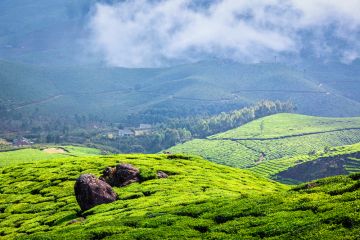 Heart-warming 5 Days Munnar Thekkady Alleppey Trip Package