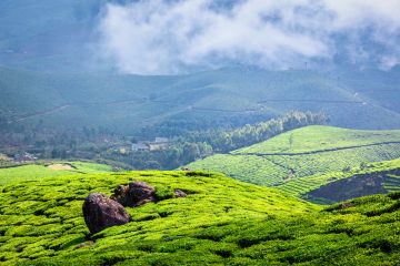Beautiful 5 Days Cochin to Munnar Thekkady Alleppey Tour Package