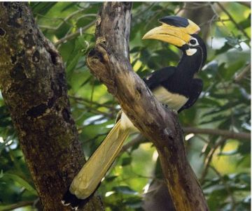 3 Days 2 Nights Umaria to Bandhavgarh Vacation Package