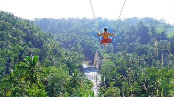 Pleasurable Ubud Tour Package for 6 Days