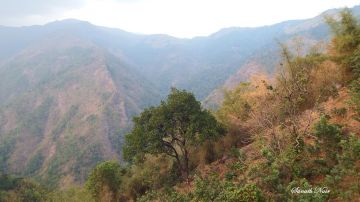 Best Alleppey Tour Package for 4 Days