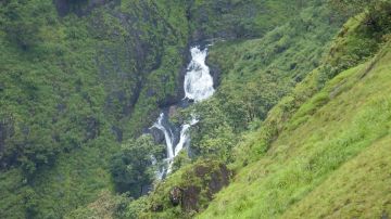 Best Alleppey Tour Package for 4 Days