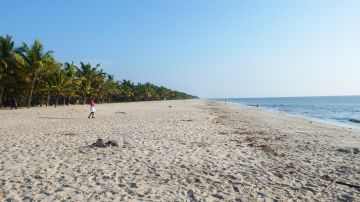 Best Alleppey Tour Package for 4 Days