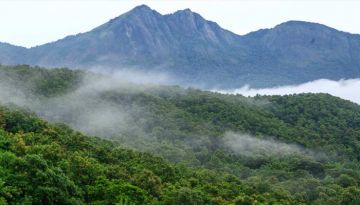 Heart-warming 3 Days 2 Nights Wayanad Nature Trip Package