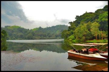 Heart-warming 3 Days 2 Nights Wayanad Nature Trip Package