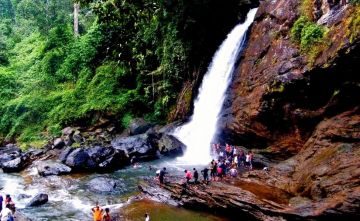 Heart-warming 3 Days 2 Nights Wayanad Nature Trip Package