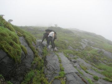 Family Getaway 2 Days 1 Night Kushalanagar Tour Package